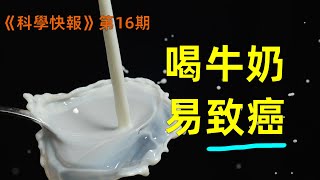 科學研究表明喝牛奶容易致癌！你還敢喝嗎？ 【科學快報16】