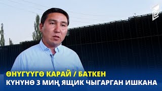 Күнүнө 3 миң ящик чыгарган ишкана / Баткен