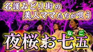 沖縄・名護の美人ママが唄う「夜桜お七五（おなご）」!?【日本一早い桜の開花】