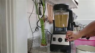 Our Vitamix Blender 4 Years After (VITAMIX 7500)