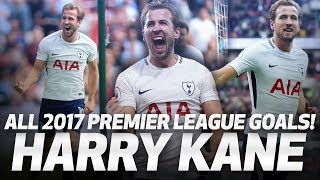 HARRY KANE | ALL 39 PREMIER LEAGUE GOALS IN 2017