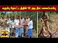 கரும்பு தோட்டத்தில் 12 அடி நீள மலைப்பாம்பு | Python |