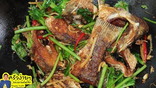 ปลากะพงผัดขึ้นฉ่าย Stir Fried Fish Chiness Celery | นายต้มโจ๊ก