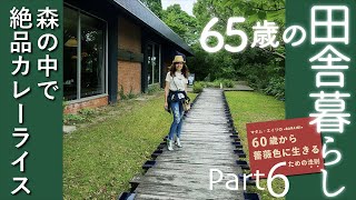 【田舎暮らしPart6  有田の穴場スポット】#深川青磁#CHINA ON THE PARK#ラベンダー#染付けチャレンジ#BARAIKI#マダムエイリ