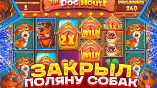 DOG HOUSE MEGAWAYS ВЫДАЛ ЗАНОС ГОДА?! ЗАНОСЫ НЕДЕЛИ!