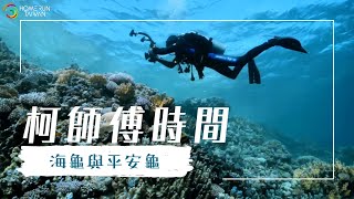 【柯師傅時間｜追海龜  柯師傅為何迷戀二十年🐢】