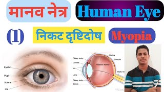 मानव नेत्र (Human Eye) निकट दृष्टि दोष (Myopia)Class10th byNazeemsir