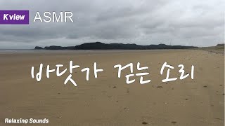 [백색소음 ASMR] Walking on beach | 신두리 백사장 걷는 소리, 효과음 , 산책길, 자연 숲 소리