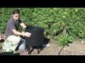Can O Worms Set-Up (how to) Can O Worms Set-Up (how to)