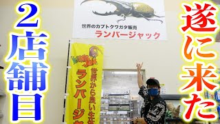 【1年越し】関東最大級の昆虫ショップの新店舗に潜入