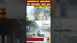 வெள்ளக்காடான தென்சென்னை..எதிரே இருப்பவர்களே தெரியா நிலை - விழிபிதுங்கி இருக்கும் மக்கள்