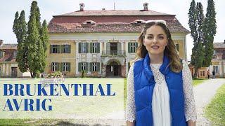 PALATUL BRUKENTHAL DE LA AVRIG - Vlog de călătorie