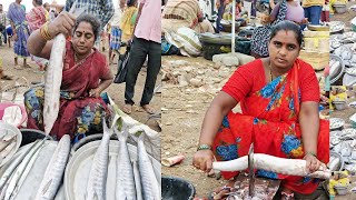 Big Fish Market In Kakinada !! Kumbabishekam Fish Market |fresh sea fish market