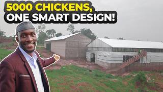 Inside Our Advanced 5000-Chicken Farm – A Game-Changer!