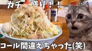 【二郎系】特製ラーメンを全マシにしたら予想以上の愛情盛りで腹パンになった話【麺屋べべ】#猫ミーム #猫マニ