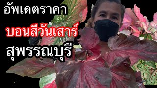 อัพเดตราคาบอนสี วันเสาร์ ตลาดนัด สุพรรณบุรี