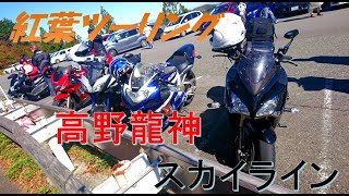 【19’】紅葉の高野龍神スカイライン【in高野#14-2】