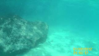 Underwater world of Ashkelon beach p.6