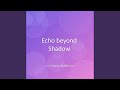 Echo beyond Shadow