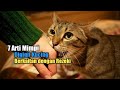 7 Arti Mimpi Digigit Kucing Berkaitan dengan Rezeki