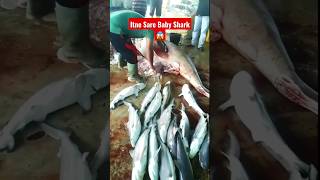 Itne Sare 😱 Baby Shark #shorts #youtubeshorts #babyshark #shark #shortsfishingvideos