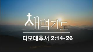 [포항큰숲교회] 24.11.15 새벽기도회