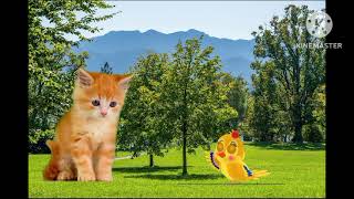 chidya and billi story # kids poem# kids world fun