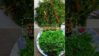 😍মুলো শাকের পাতা ভাজা বাঙালিস্টাইলে#mulo shak bhajarecipe#bengali#style# Radish Green Leaves Fry