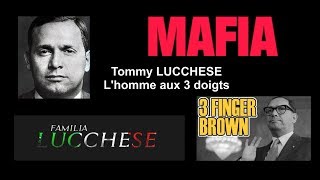 Mafia. Tommy Lucchese l'homme aux 3 doigts...