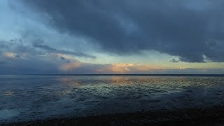 Texel Trilogie - vogeltrek in de herfst