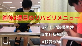 【VLOG】前十字靭帯損傷から復帰を目指すイタリア女子プロフットサル選手No.2〜弱点を伸びしろと捉えるか〜