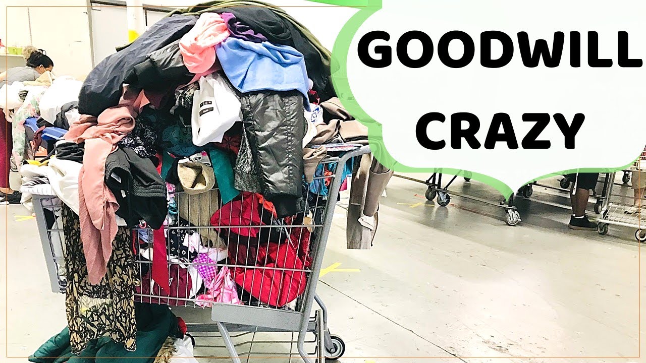 Goodwill Bins Thrifting What A Shock Youtube