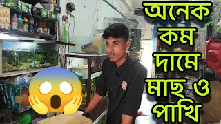 বগুড়া আদমদিঘী শাহাজান ভাই এর পাখির দোকান।