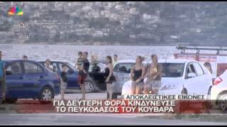 9.8.13 -  Για δεύτερη φορά κινδύνευσε το πευκόδασος του Κουβαρά.