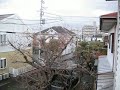 さらば平塚～平塚市桃浜町2～