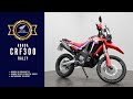 2021 HONDA CRF300 RALLY