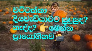 වට්ටක්කා සමඟ රුධිරයේ සීනි පරීක්ෂණය/ Is Pumpkin Good For Diabetics? වට්ටක්කා දියවැඩියා රෝගීන්ට හොඳද?