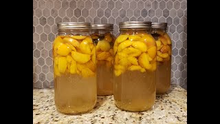 Peach Kompot-