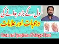 Heart Size | Signs & Symptoms of enlarged heart | Hypertrophic Heart | Normal Heart in Urdu
