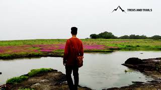 Kaas Plateau Tour and Thoseghar Waterfall