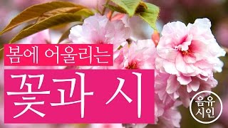 [좋은 시] 봄에 어울리는 꽃과 시 그리고 음악 | 음유시인 |