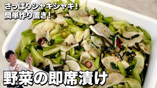 ご飯がすすむお漬物！簡単作り置き！野菜の即席漬けの作り方