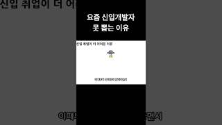 요즘 신입 개발자 취업이 안되는 이유 #개발자 #취업 #부트캠프 #국비지원