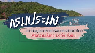 กรมประมง สถาบัน บูรณาการ ทรัพยากรสัตว์น้ำไทยเพื่อความมั่นคง มั่งคั่ง ยั่งยืน