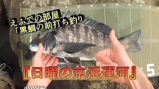 初心者の黒鯛釣り動画：日曜の京浜運河