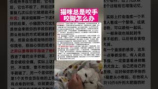 猫咪总是咬手咬脚怎么办 #萌宠 #猫 #猫咪 #宠物 #养猫 #萌宠出道计划 #cat #cute #pets