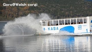 Amphibious bus, pleasure boat / 水陸両用バスKABA 遊覧船 山中湖 20131108