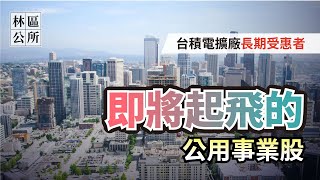 【林區公所】極具成長潛力的公用事業股，人家配息它都配股，獨佔性事業又能抗通膨，存股人最佳選擇。成長股、抗通膨、存股、股票投資。EP12