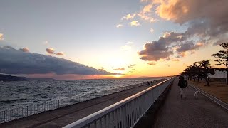 13.春の【明石大蔵海岸西地区】明石市 夕焼けと明石海峡大橋を見ながらまったり出来る散歩スポット