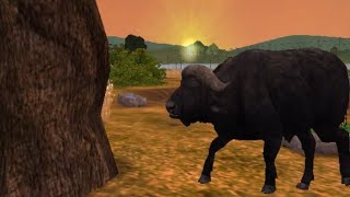 주타이쿤2 관찰카메라 - 아프리카 물소 (ZT2 observation camera - African Buffalo)